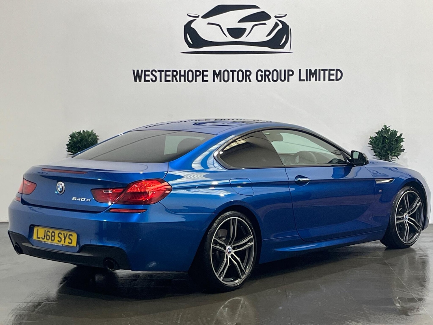 Used BMW 6 Series 2019 for sale - 78100832: Photo 4