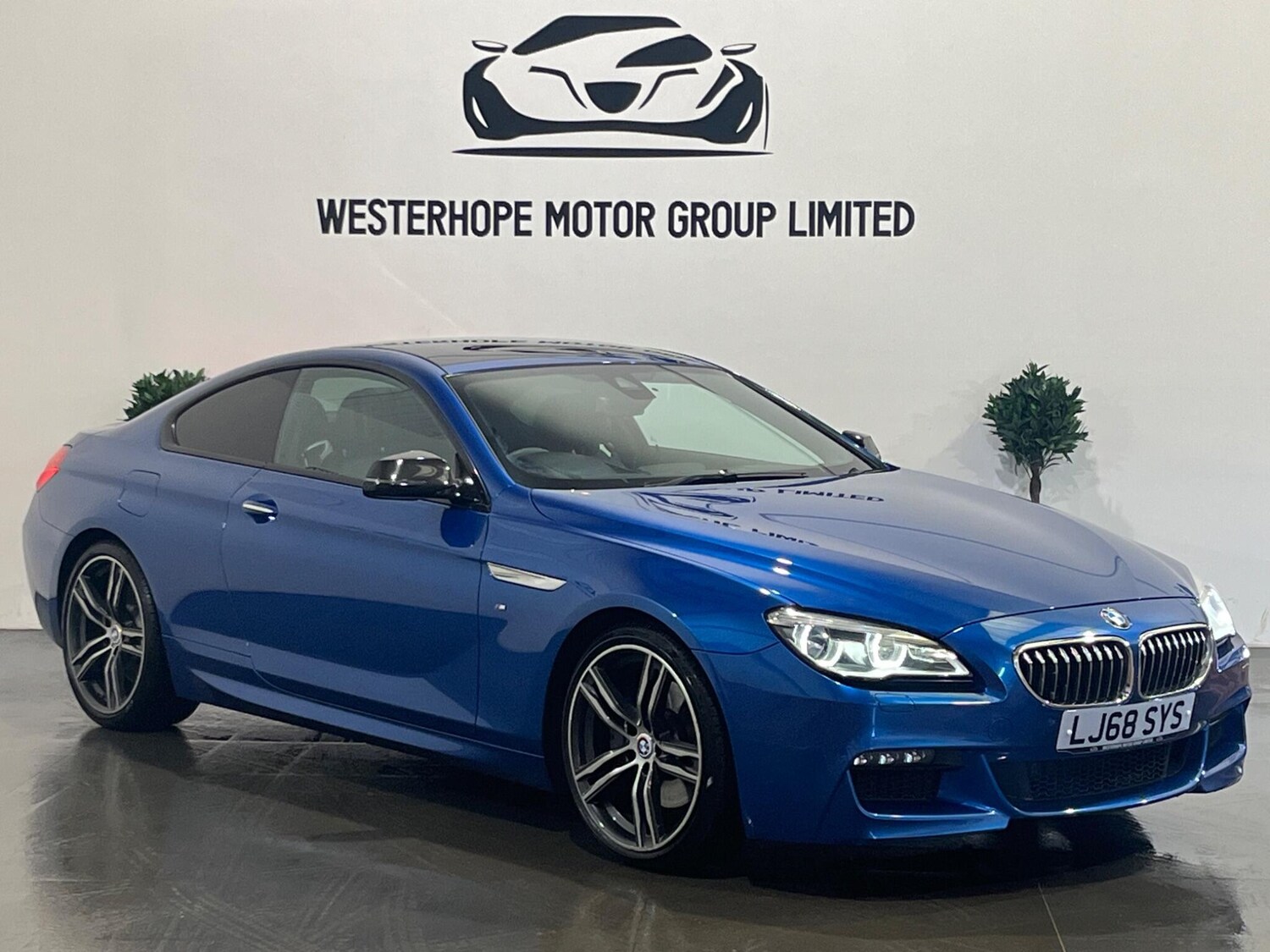 Used BMW 6 Series 2019 for sale - 78100832: Photo 7