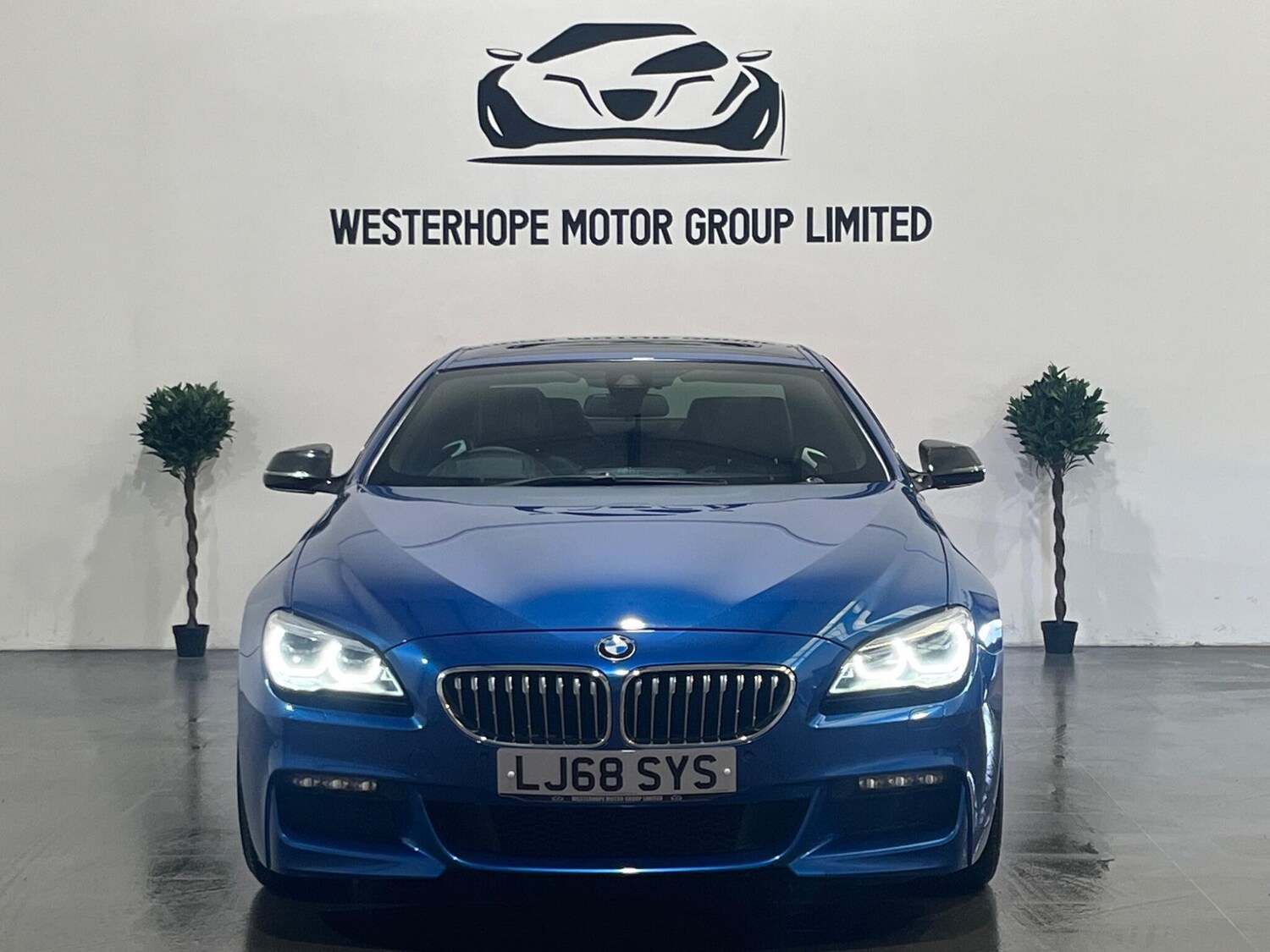 Used BMW 6 Series 2019 for sale - 78100832: Photo 8