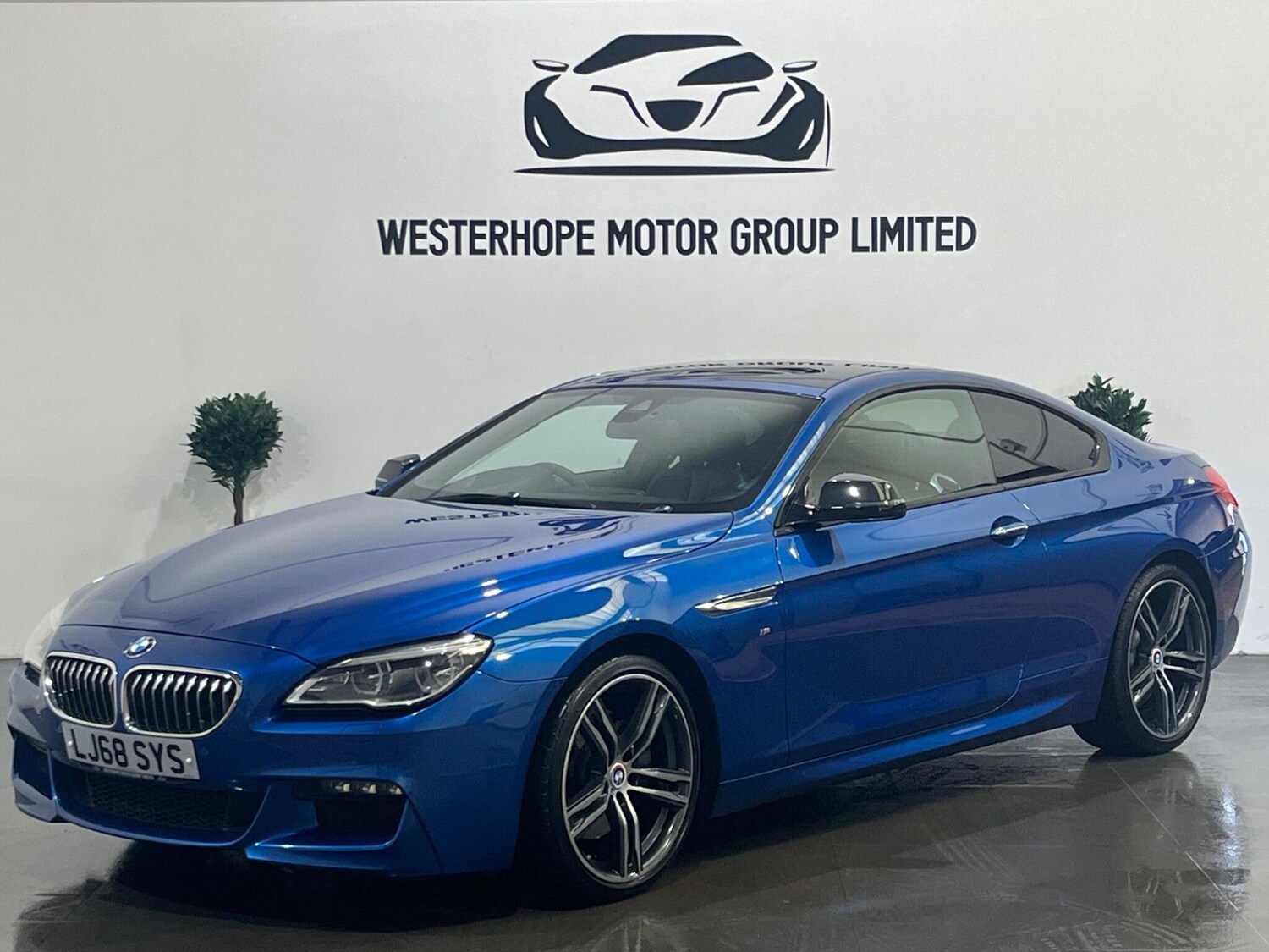 Used BMW 6 Series 2019 for sale - 78100832: Photo 9