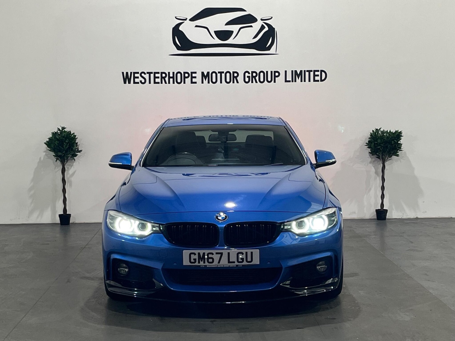 Used BMW 4 Series 2017 for sale - 76360435: Photo 8