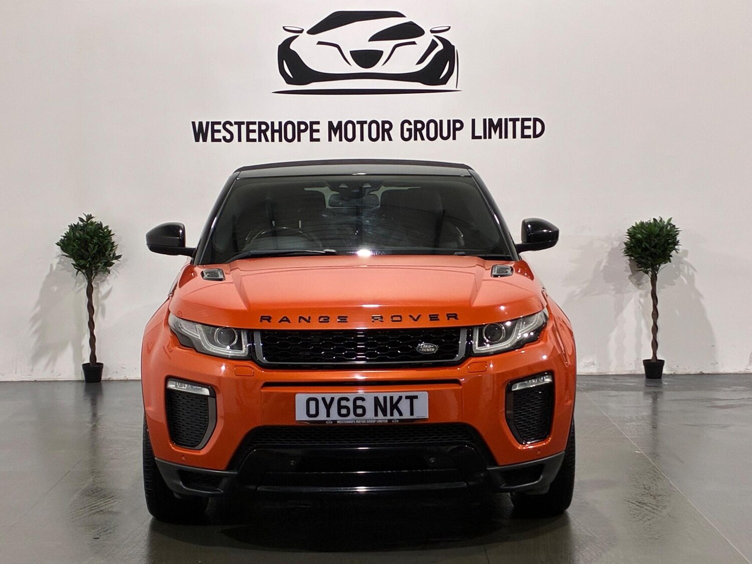 Used Land Rover Range Rover Evoque for sale - 77495994: Photo 11