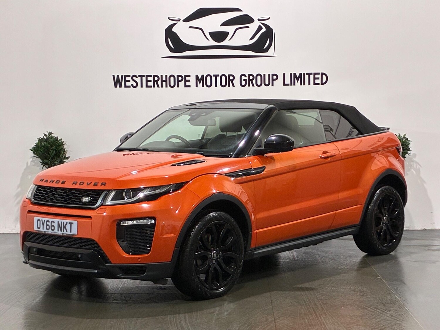 Used Land Rover Range Rover Evoque for sale - 77495994: Photo 12