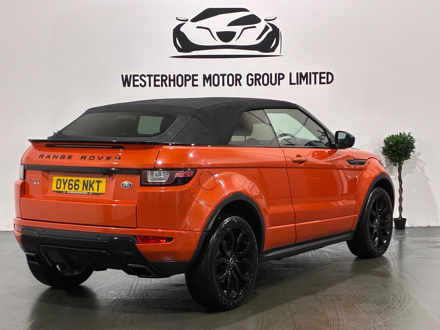 Used Land Rover Range Rover Evoque for sale - 77495994: Photo 4