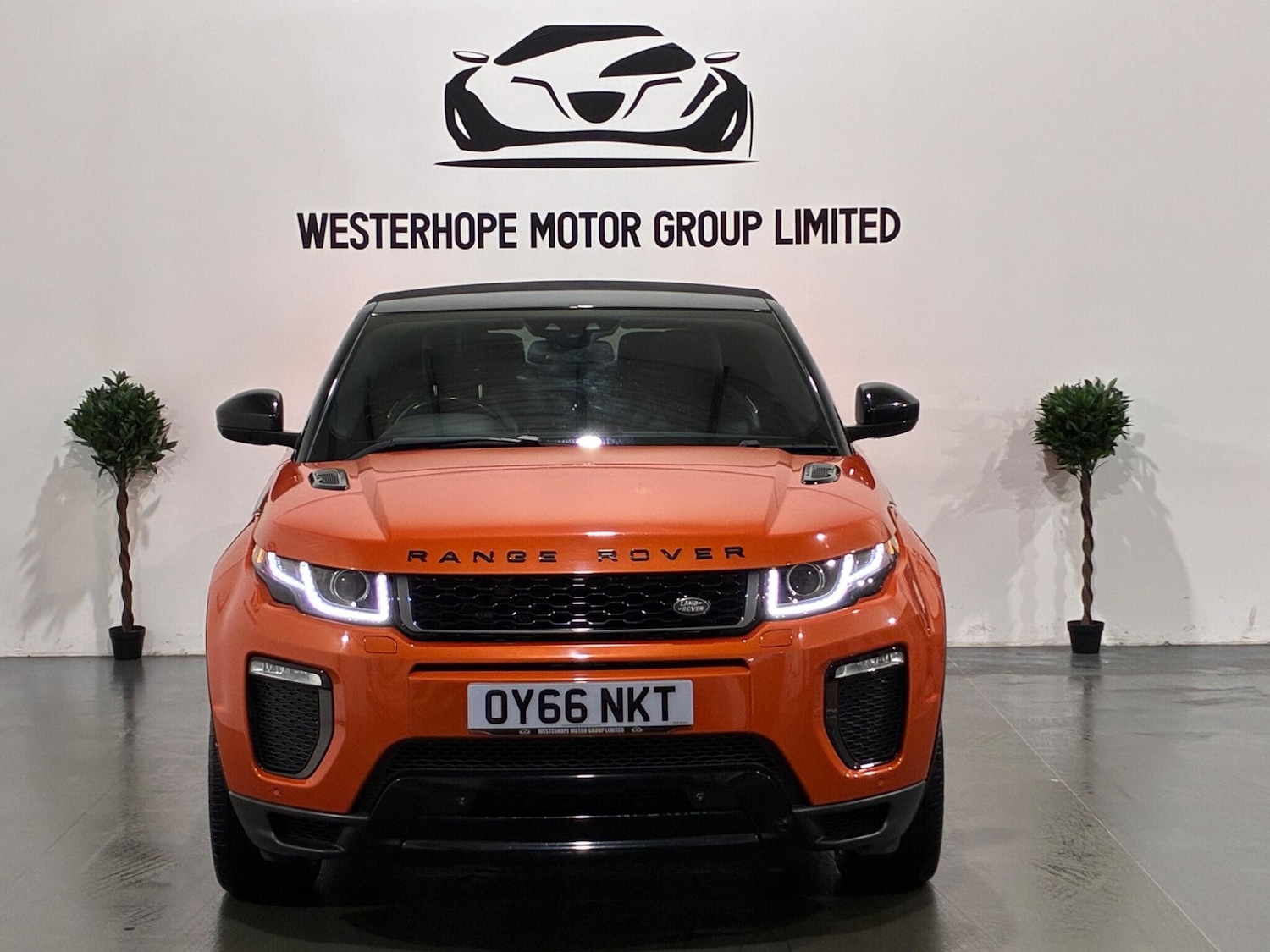 Used Land Rover Range Rover Evoque for sale - 77495994: Photo 8