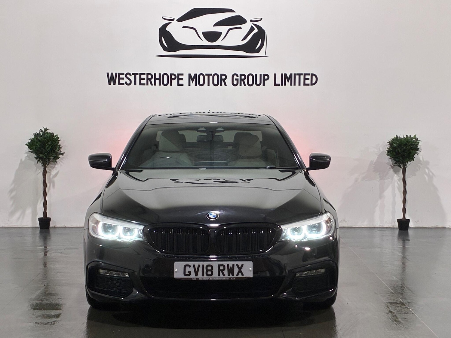 Used BMW 5 Series 2018 for sale - 76771950: Photo 11