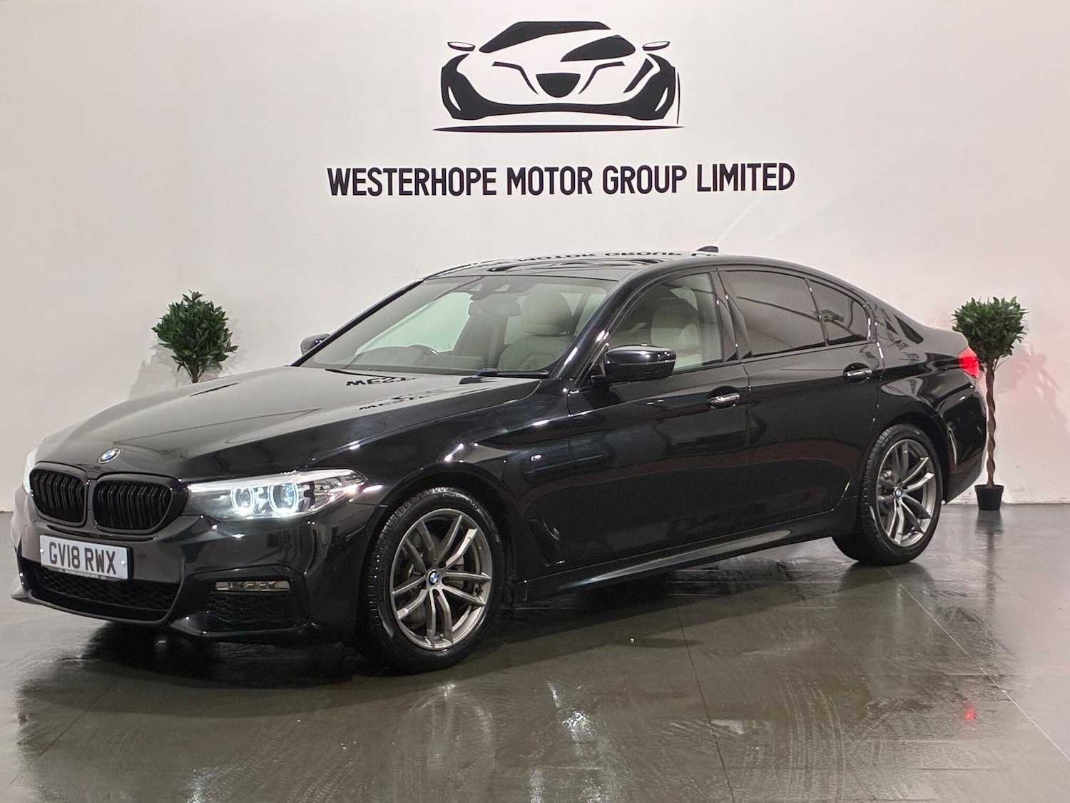 Used BMW 5 Series 2018 for sale - 76771950: Photo 12