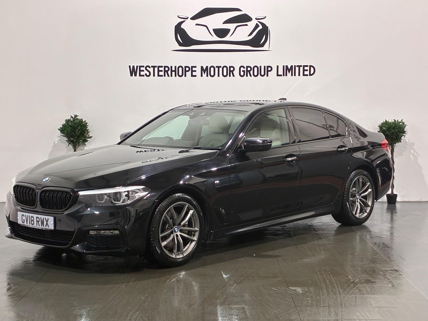 Used BMW 5 Series 2018 for sale - 76771950: Photo 15