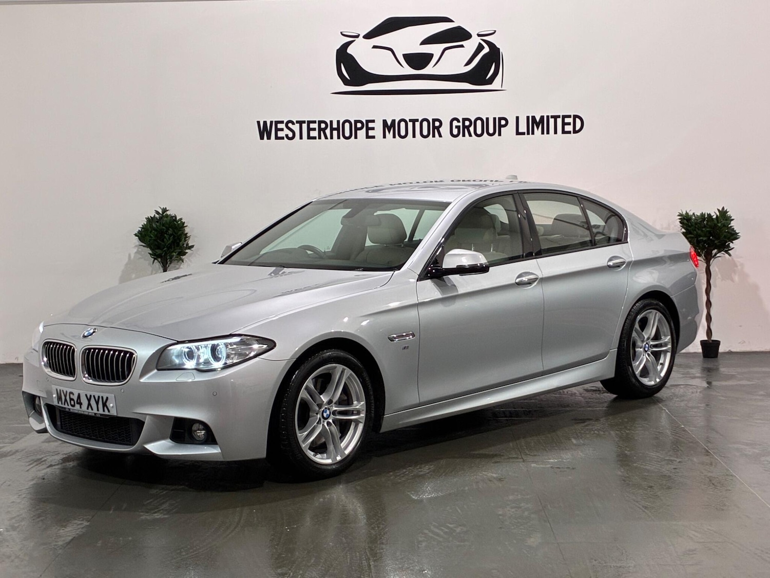 Used BMW 5 Series 2014 for sale - 77331473: Photo 12