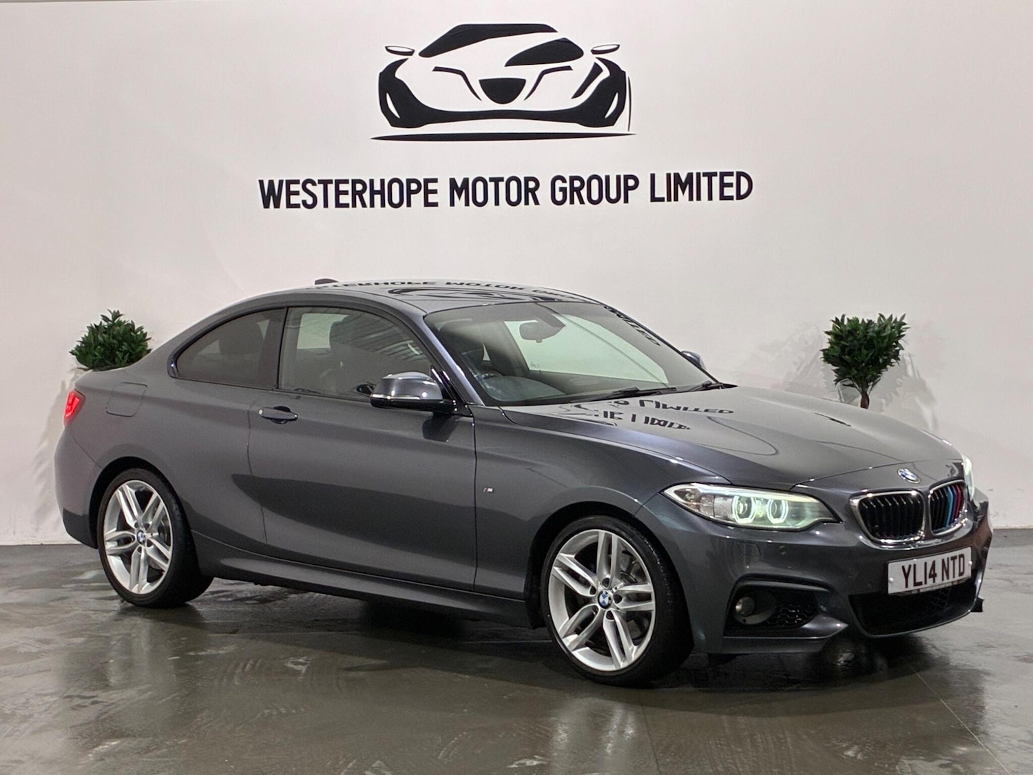 Used BMW 2 Series for sale - 77412366: Photo 11