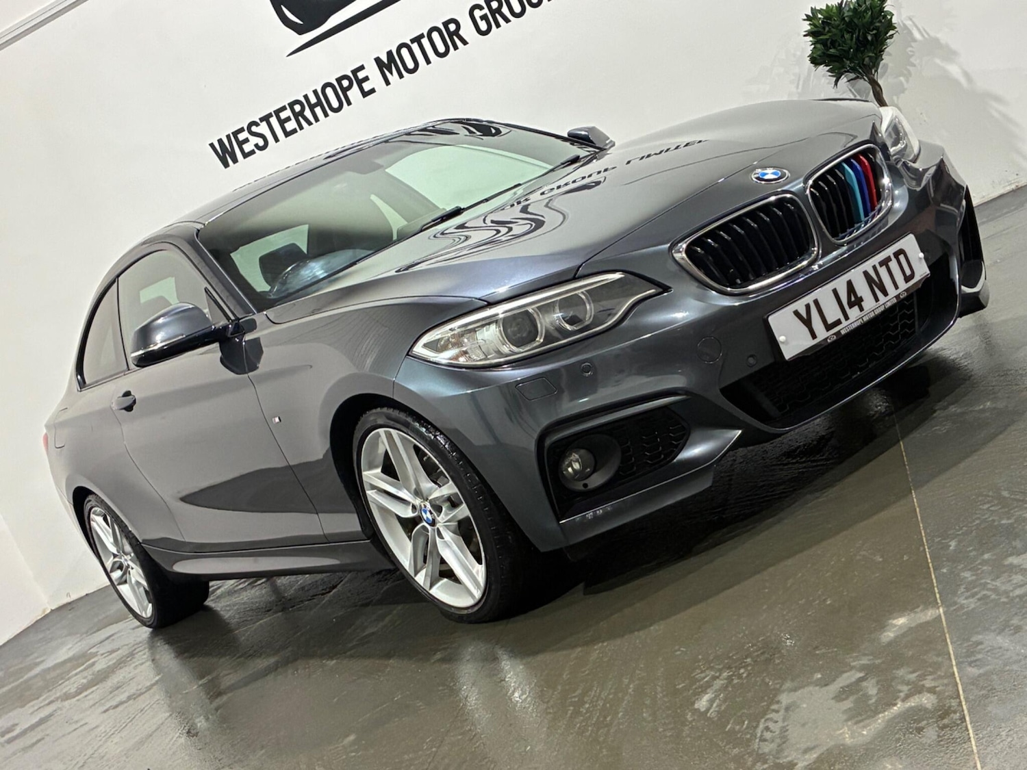 Used BMW 2 Series for sale - 77412366: Photo 19