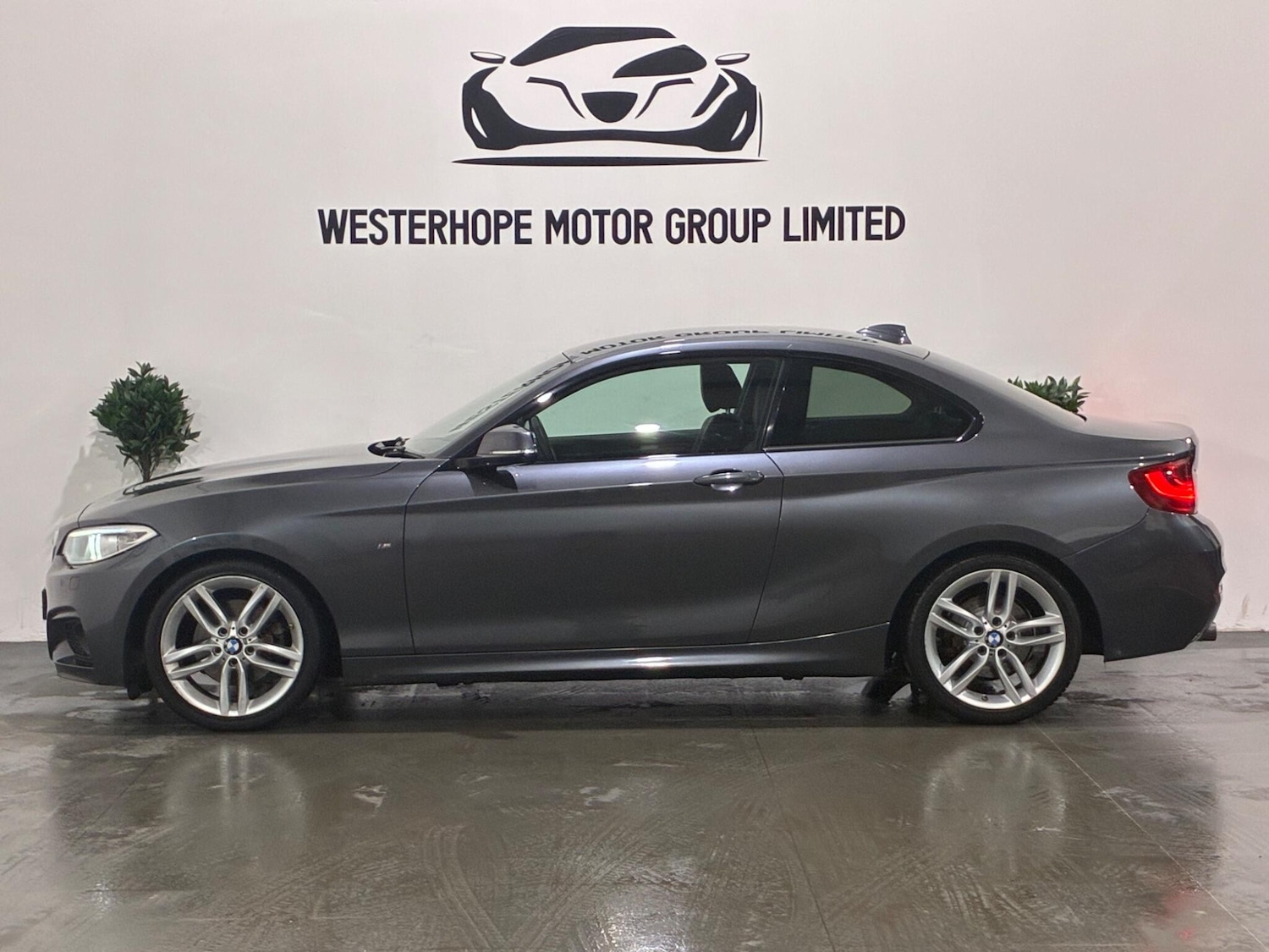 Used BMW 2 Series for sale - 77412366: Photo 21