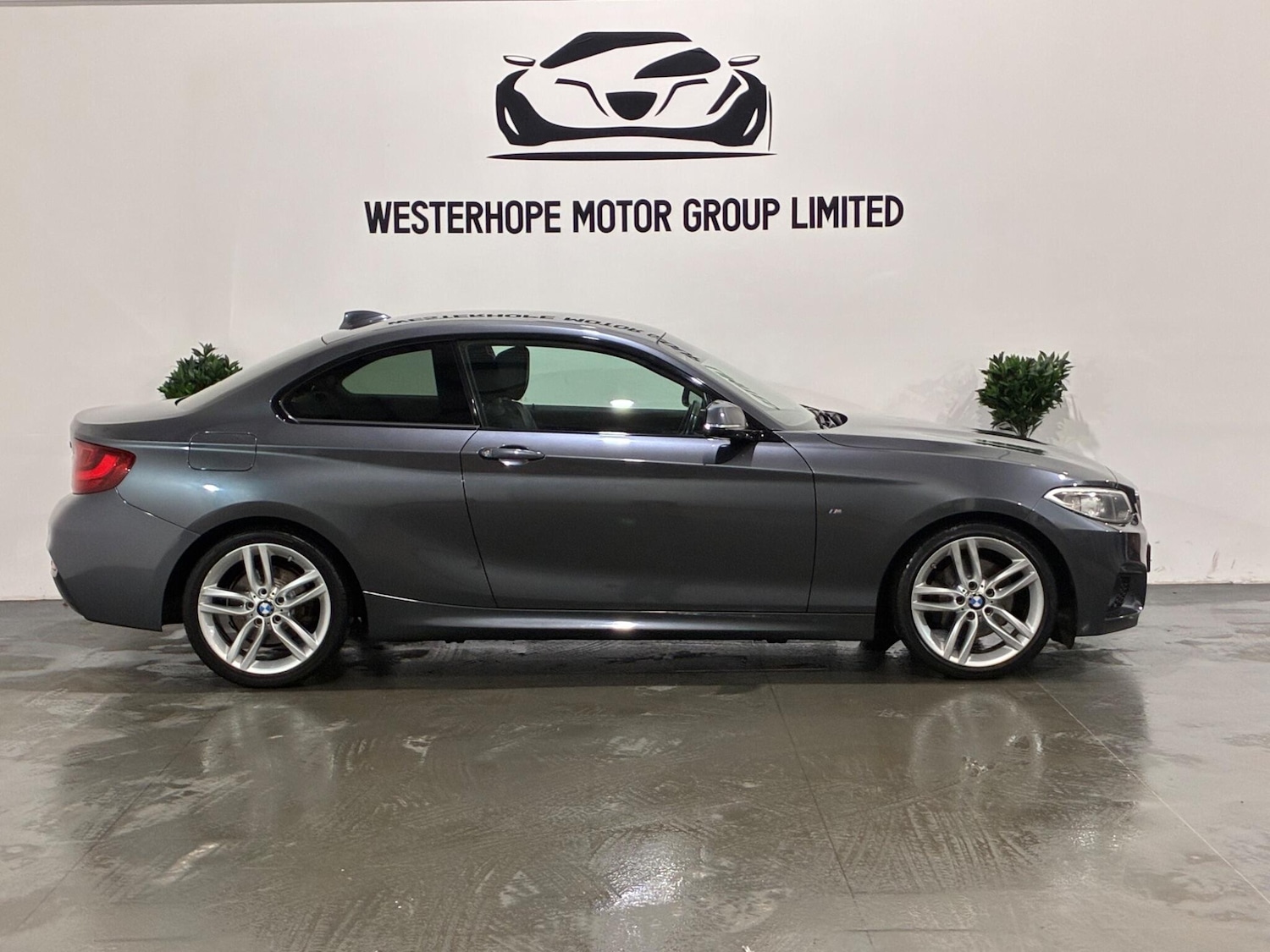 Used BMW 2 Series for sale - 77412366: Photo 24