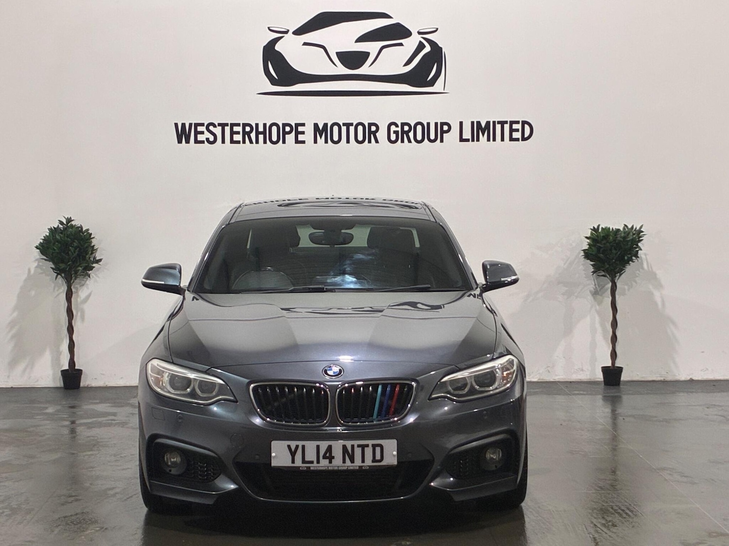 Used BMW 2 Series for sale - 77412366: Photo 8