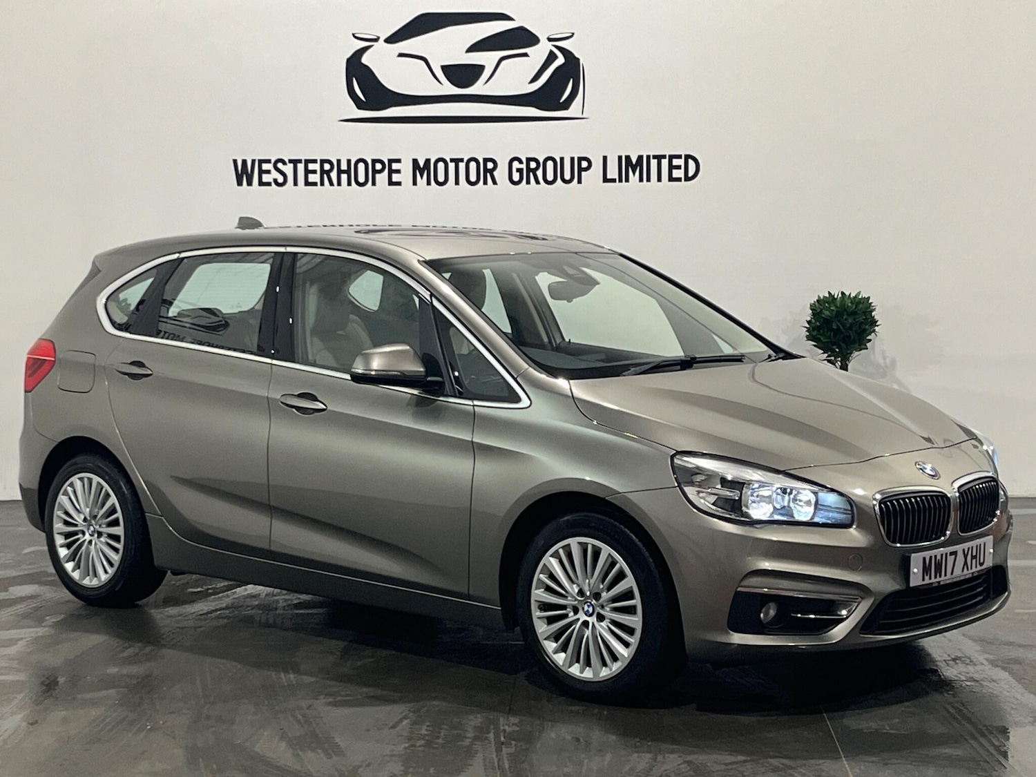 Used BMW 2 Series 2017 for sale - 76743074: Photo 11