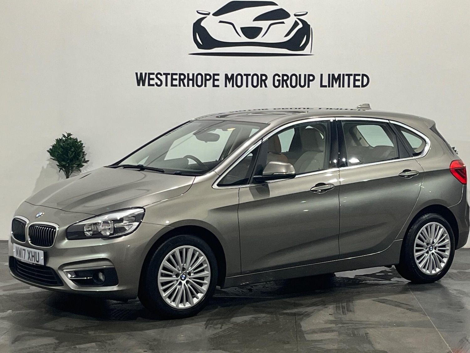 Used BMW 2 Series 2017 for sale - 76743074: Photo 13