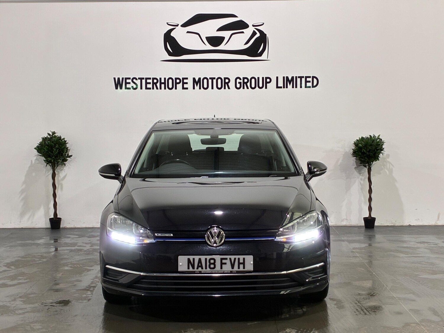 Used Volkswagen Golf 2018 for sale - 77478679: Photo 11