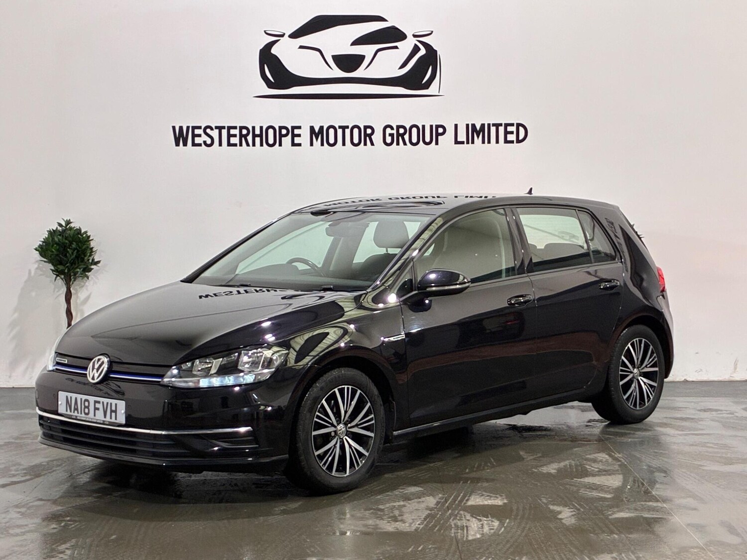 Used Volkswagen Golf 2018 for sale - 77478679: Photo 12