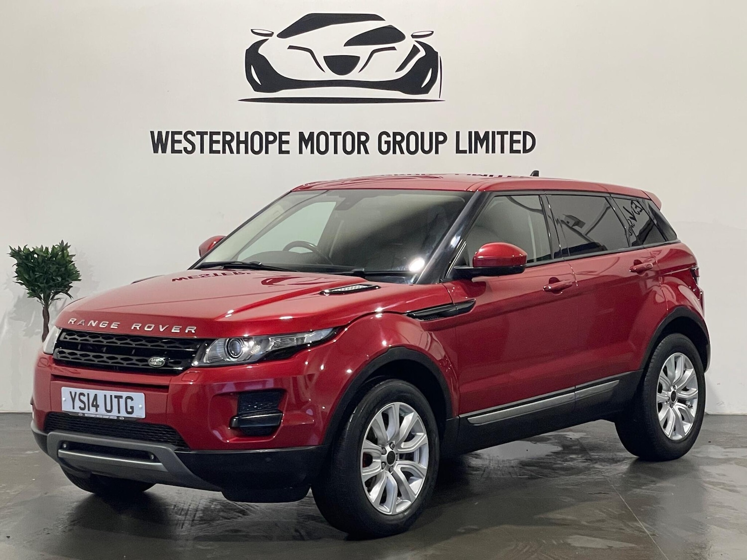 Used Land Rover Range Rover Evoque for sale - 77808151: Photo 12