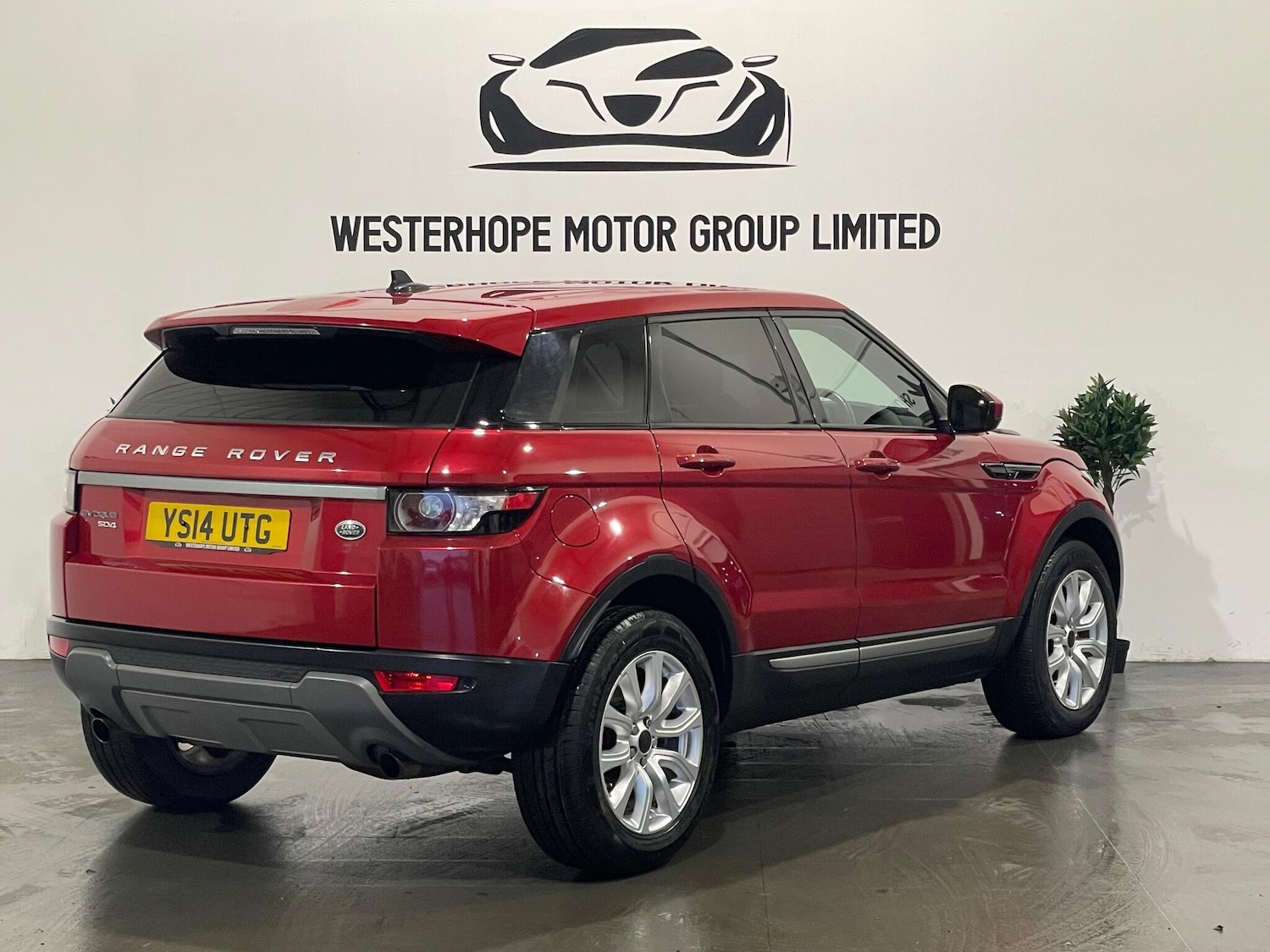 Used Land Rover Range Rover Evoque for sale - 77808151: Photo 4