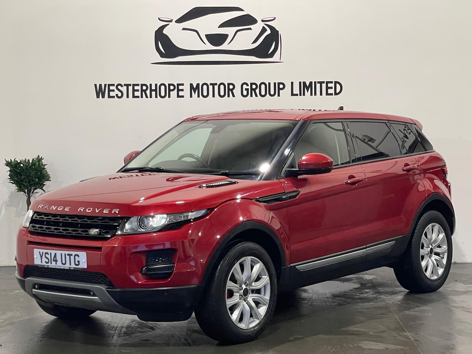 Used Land Rover Range Rover Evoque for sale - 77808151: Photo 59