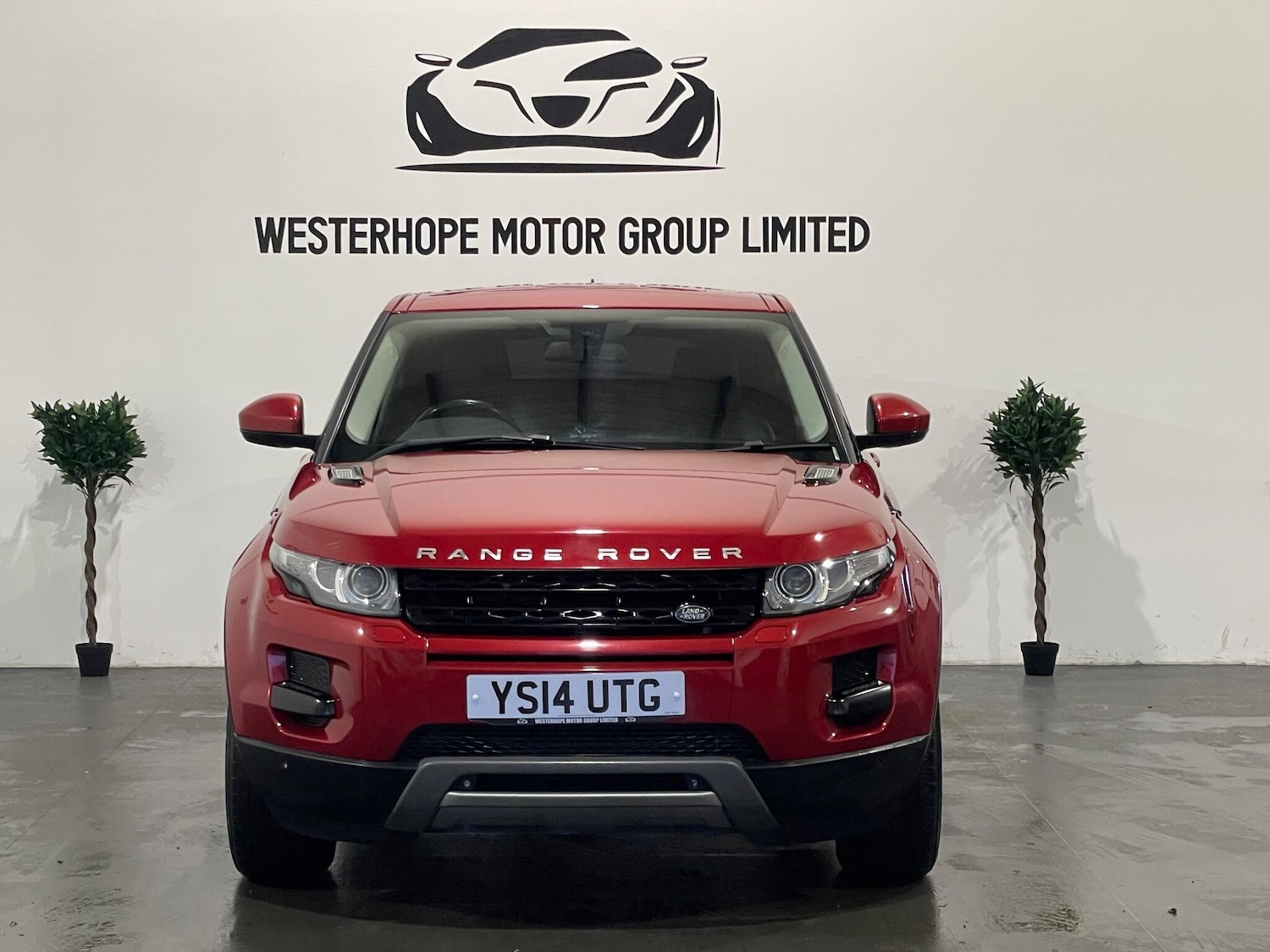 Used Land Rover Range Rover Evoque for sale - 77808151: Photo 7