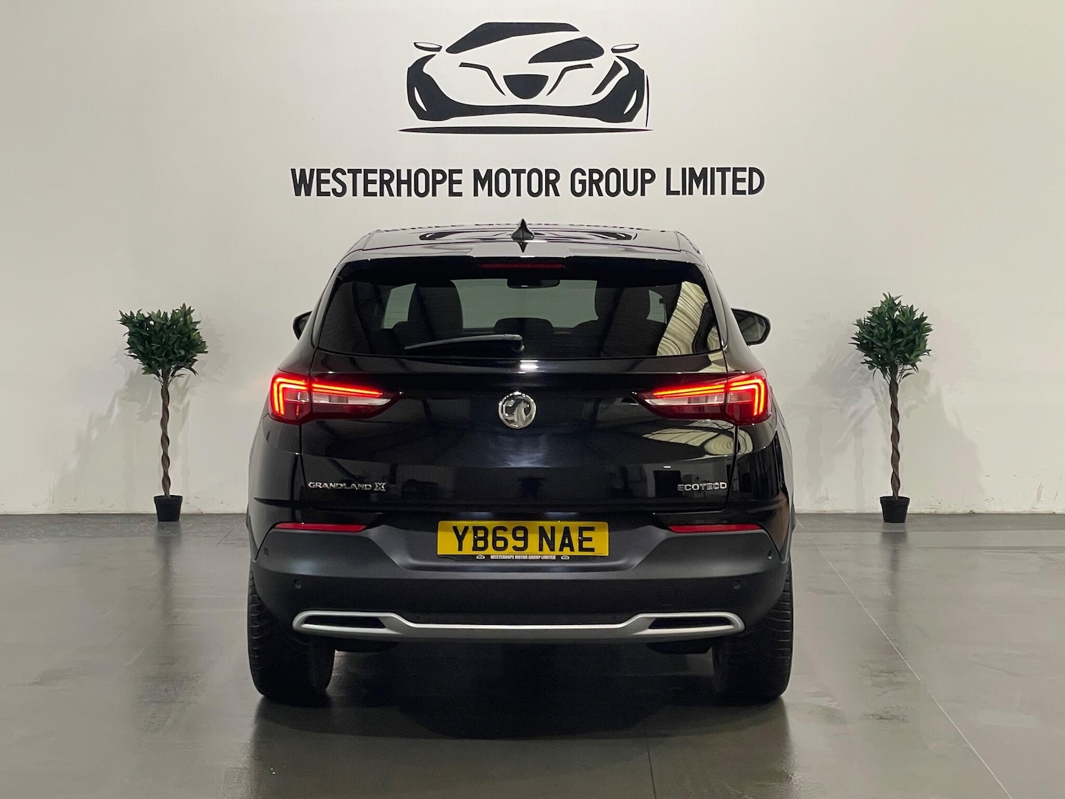 Used Vauxhall Grandland X 2019 for sale - 77768659: Photo 16