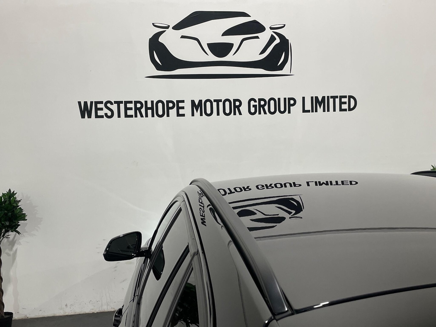 Used BMW 3 Series for sale - 77737583: Photo 51