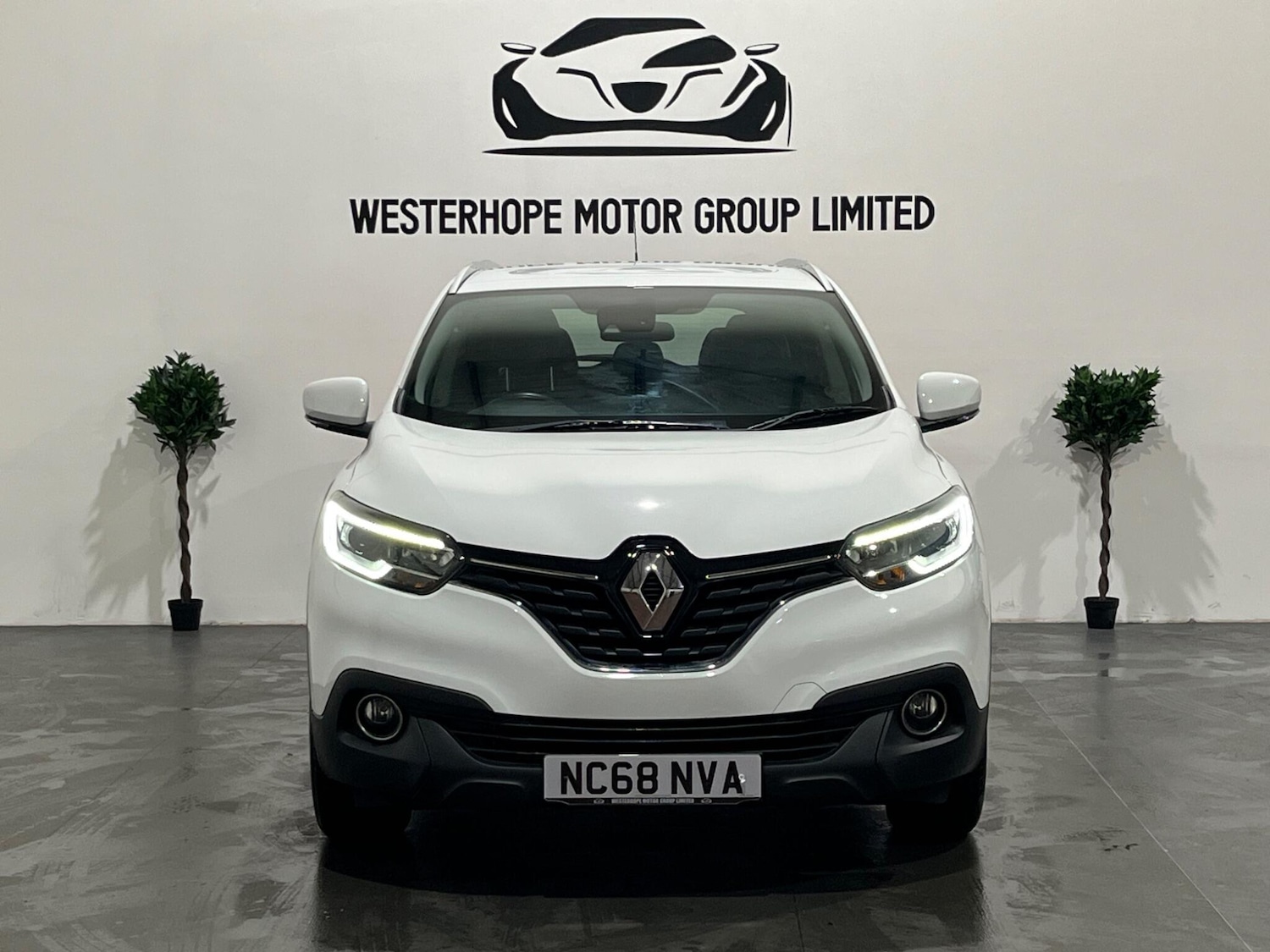Used Renault Kadjar 2019 for sale - 76349869: Photo 9