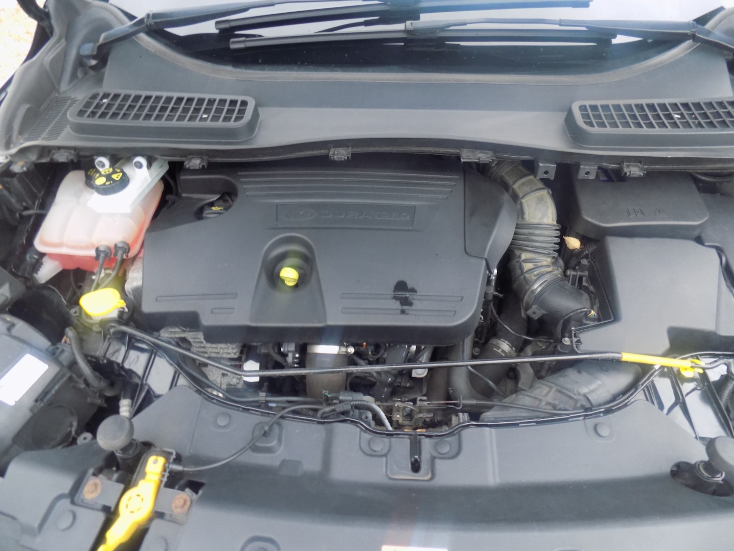 Used Ford Kuga 2016 for sale - 77661983: Photo 42