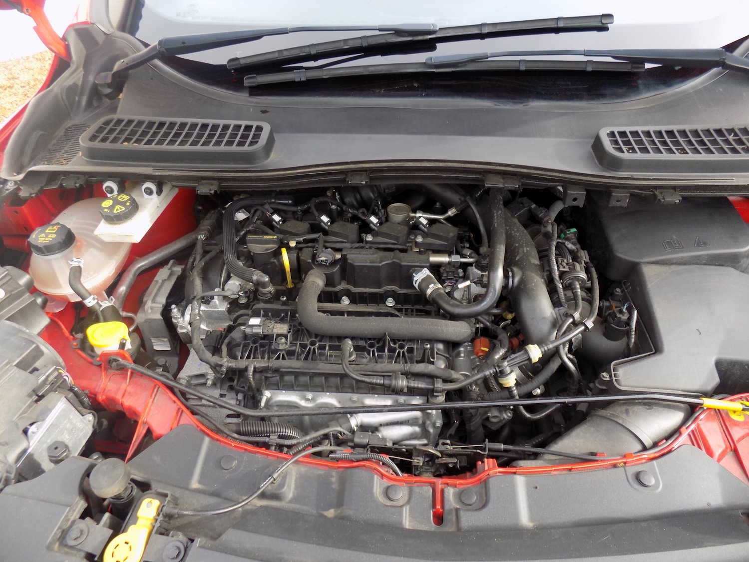 Used Ford Kuga 2019 for sale - 77629454: Photo 41