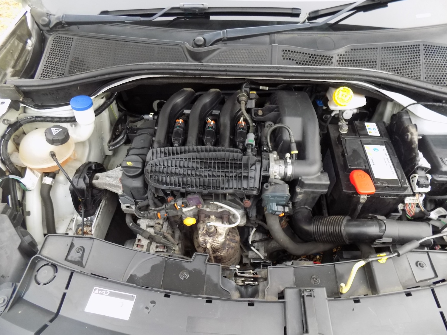 Used Citroen C4 Cactus 2016 for sale - 77677321: Photo 29