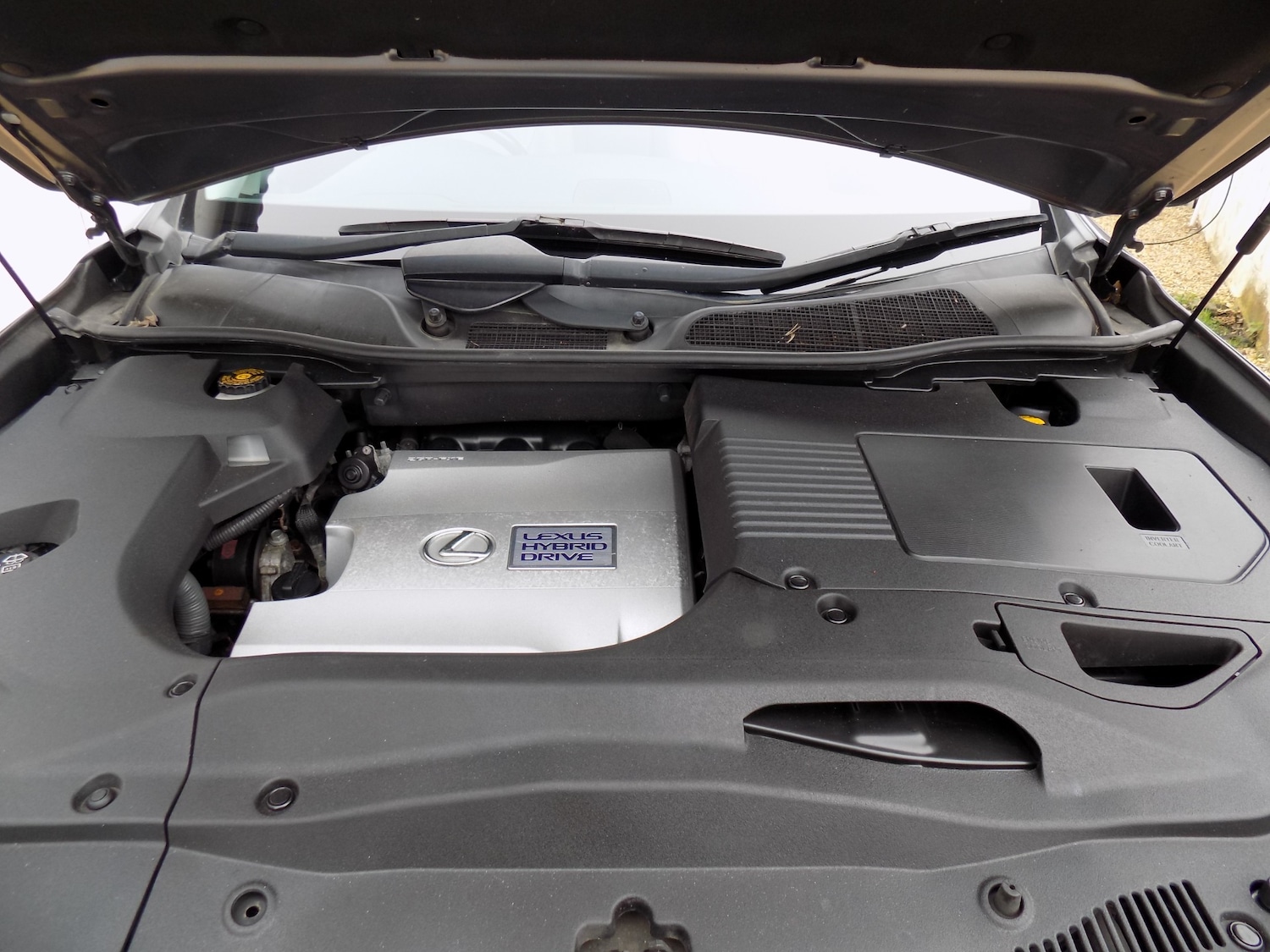 Used Lexus RX 2012 for sale - 77763161: Photo 18