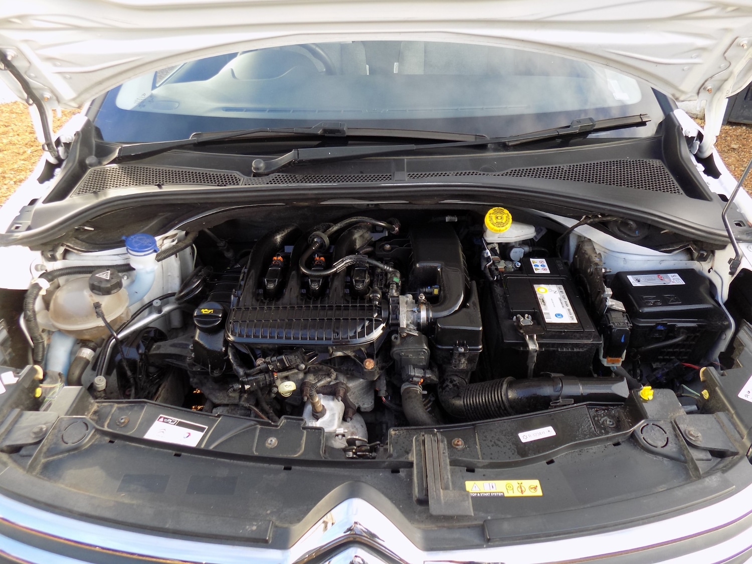 Used Citroen C3 2020 for sale - 76845638: Photo 42