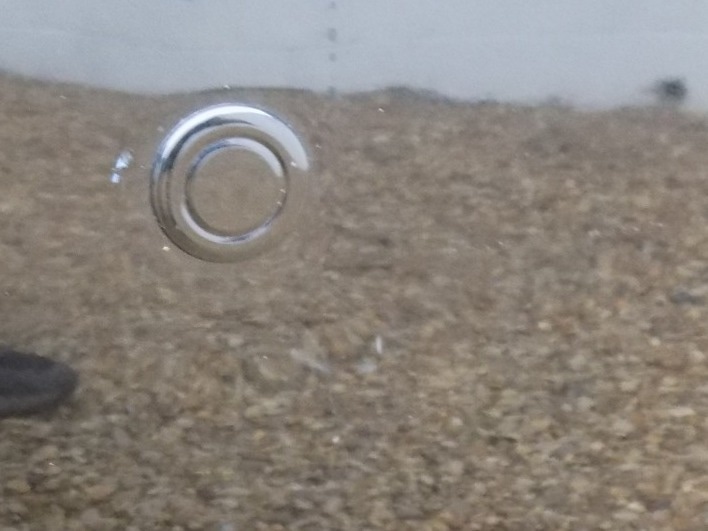 Used Perodua MYVI 2012 for sale - 77445994: Photo 13