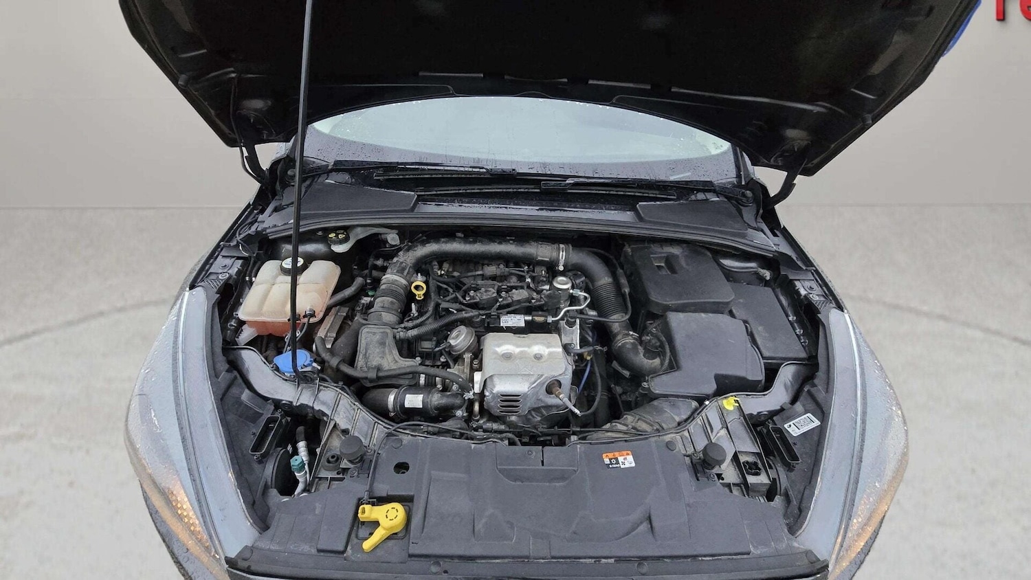 Used Ford Focus 2017 for sale - 78027303: Photo 19