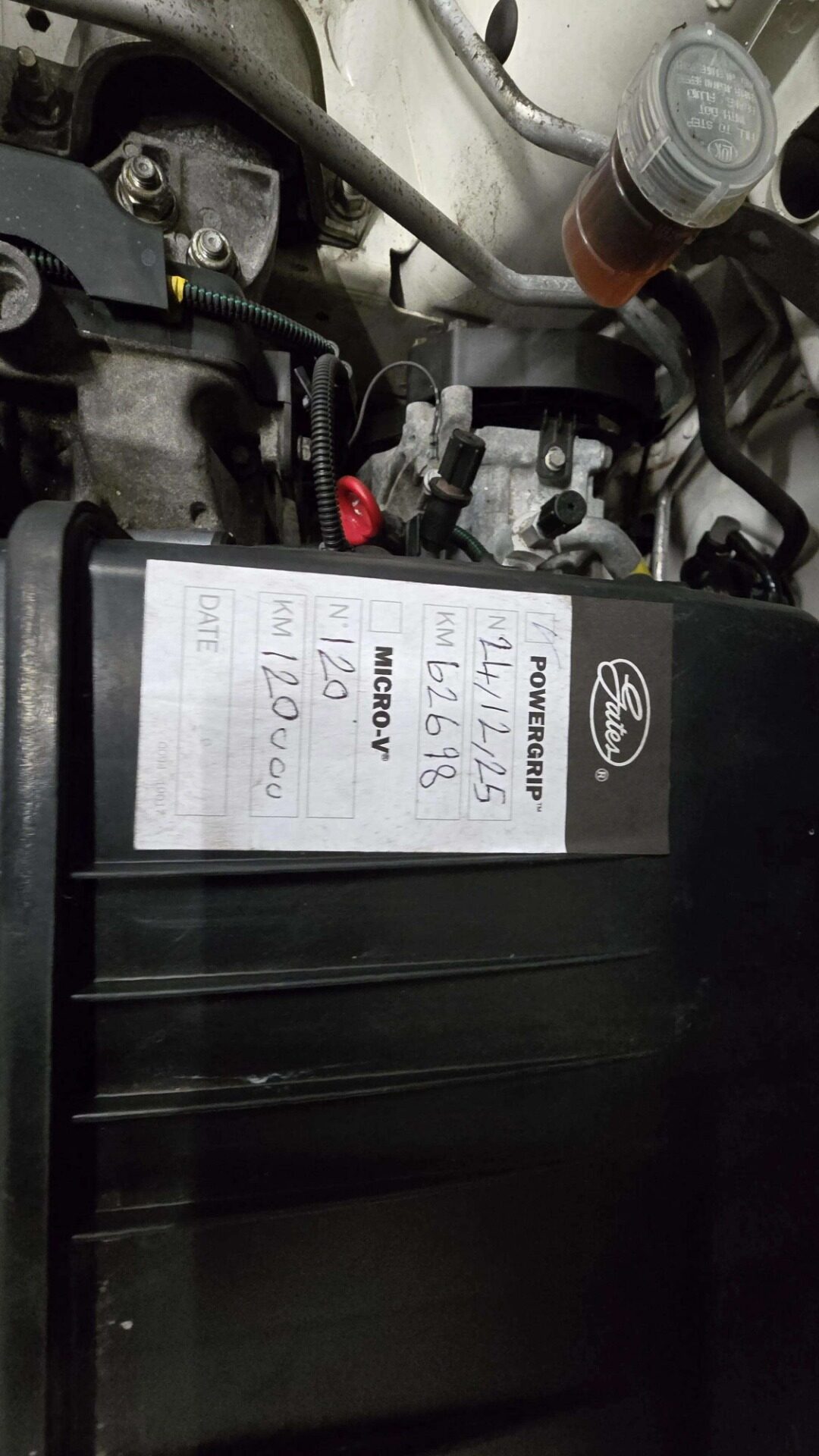 Used Fiat 500 2010 for sale - 77100788: Photo 14