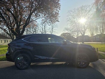 Used Lexus NX 2017 for sale - 77958152: Photo