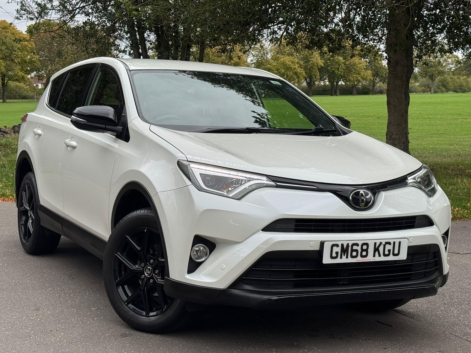 Used Toyota RAV4 2019 for sale - 76000838: Photo 1