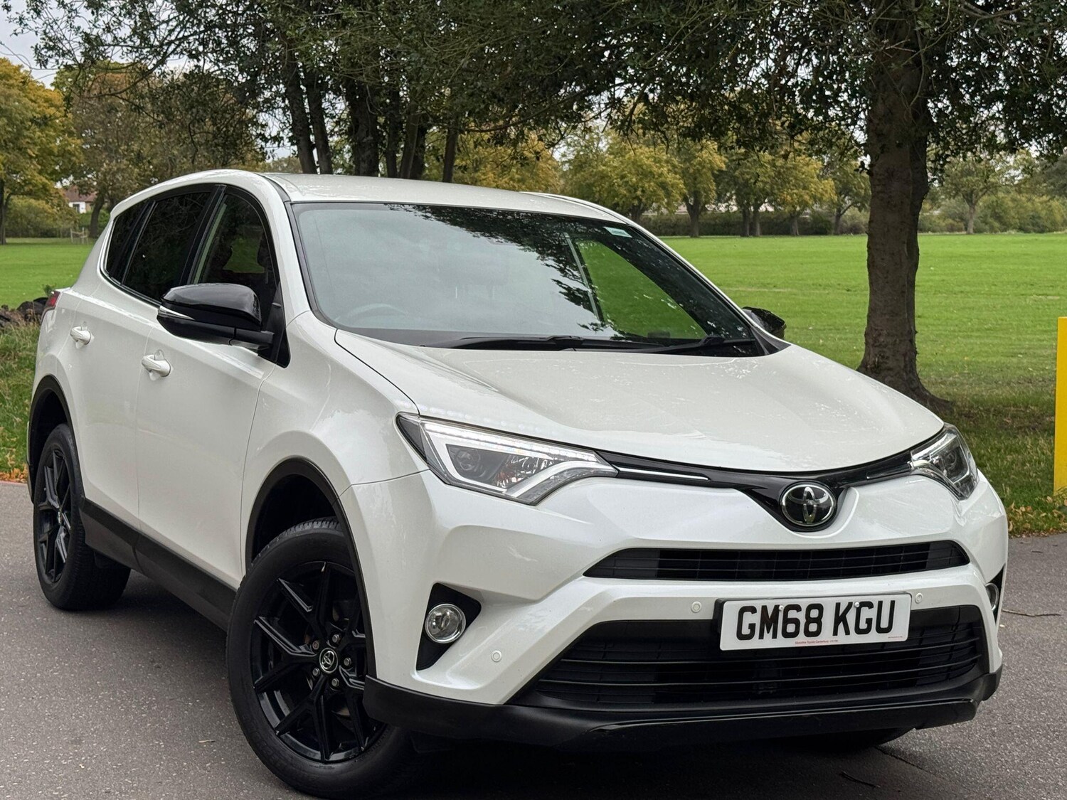 Used Toyota RAV4 2019 for sale - 76000838: Photo 45