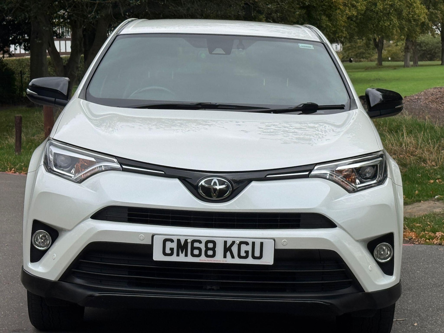 Used Toyota RAV4 2019 for sale - 76000838: Photo 54