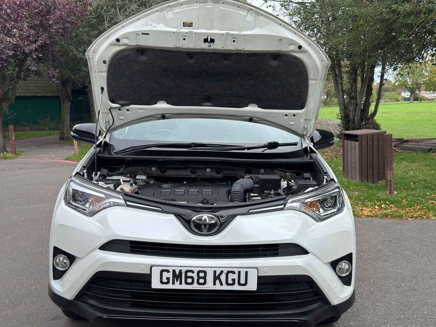 Used Toyota RAV4 2019 for sale - 76000838: Photo 60