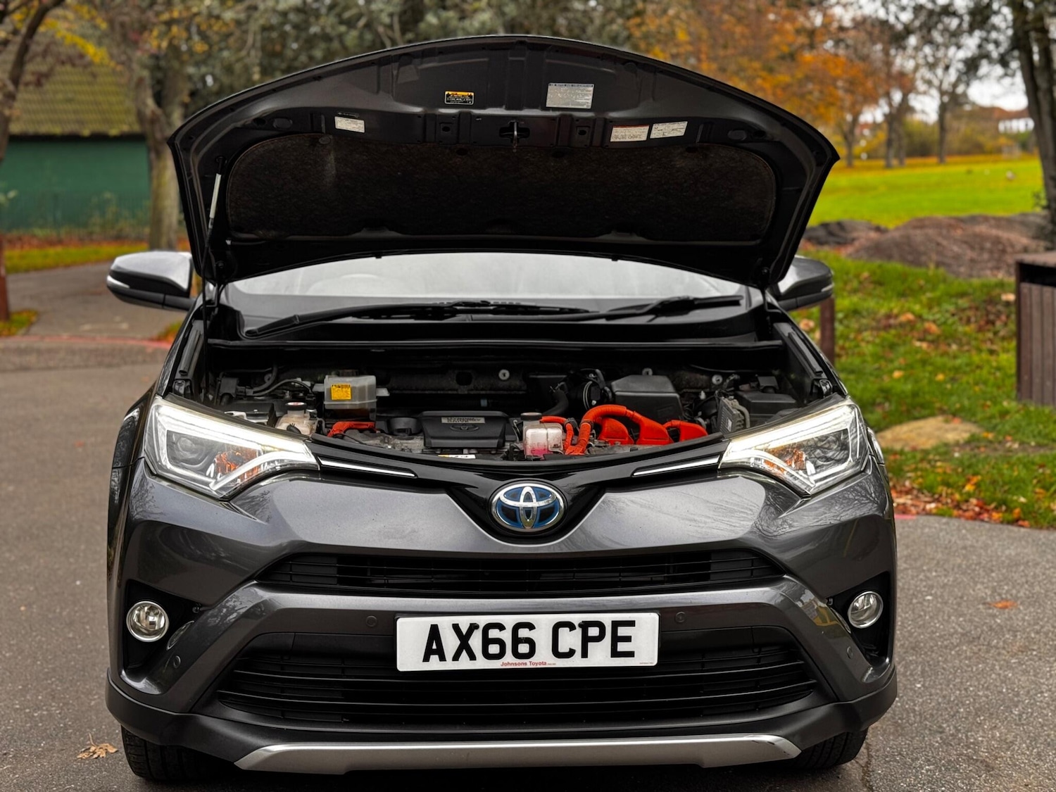 Used Toyota RAV4 2016 for sale - 76993736: Photo 8