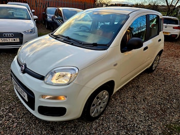 Used Fiat Panda 2016 for sale - 76536963: Photo