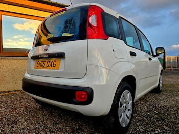 Used Fiat Panda 2016 for sale - 76536963: Photo