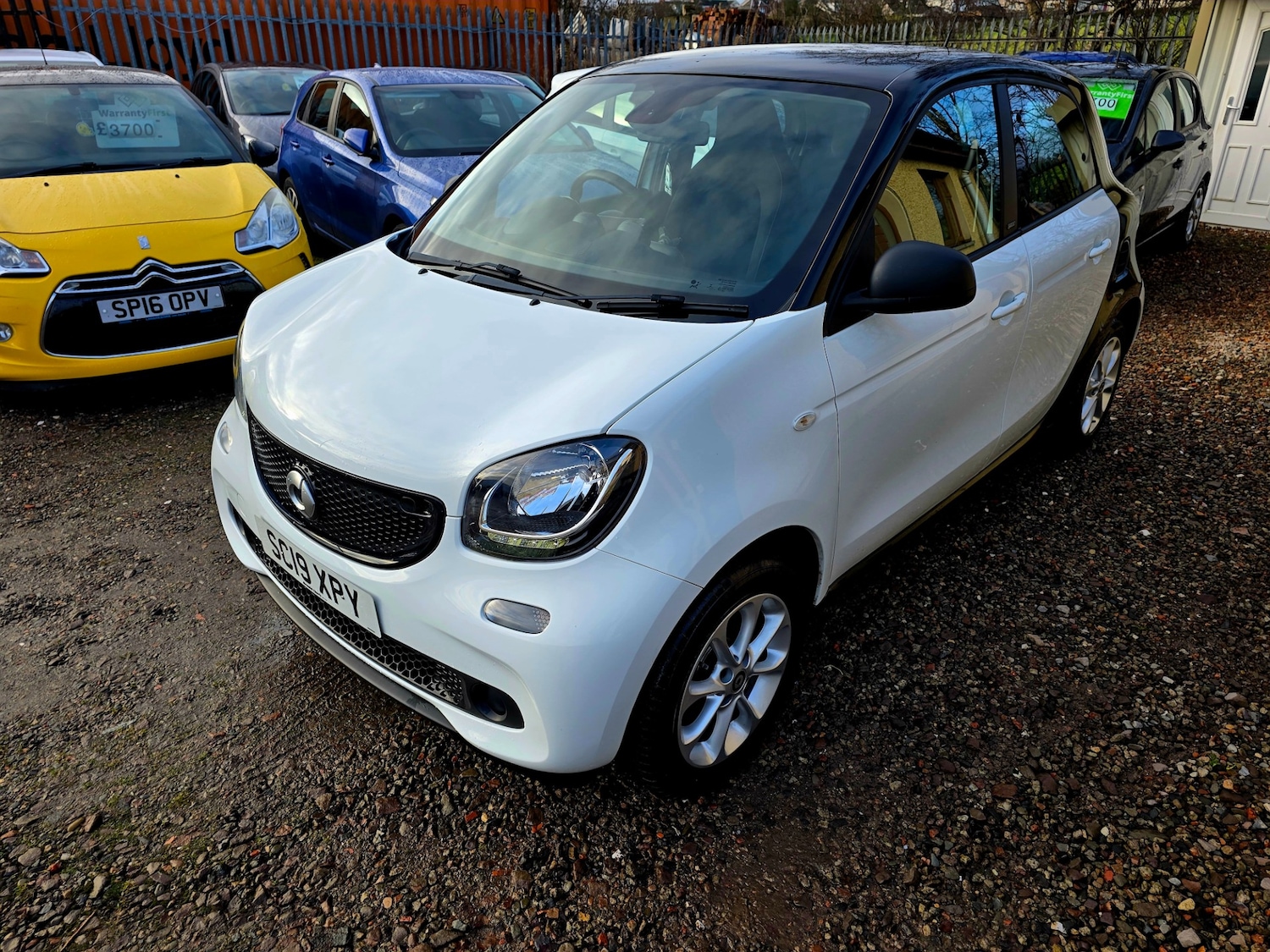 Used smart forfour 2019 for sale - 76847305: Photo 1