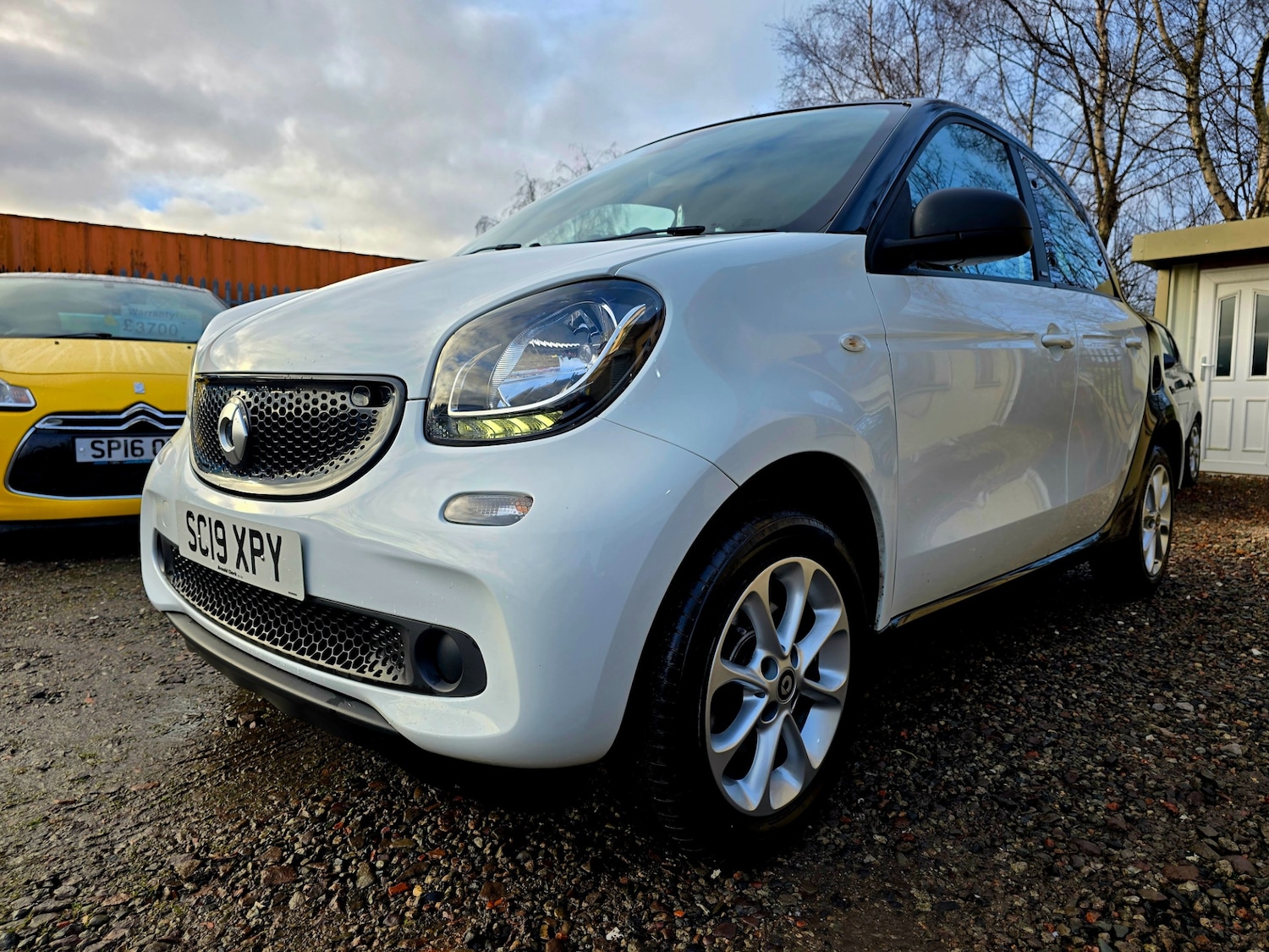 Used smart forfour 2019 for sale - 76847305: Photo 5