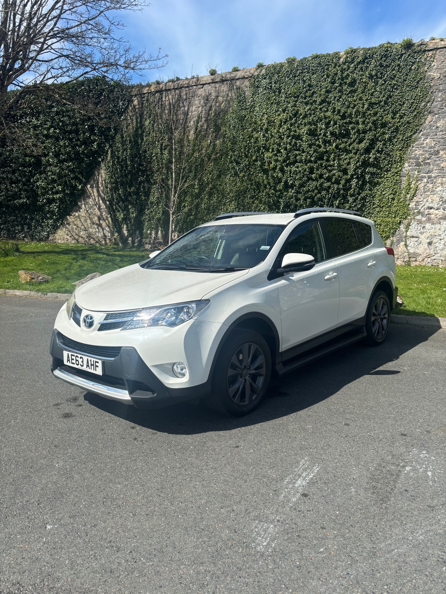 Used Toyota RAV4 2013 for sale - 78177176: Photo 2