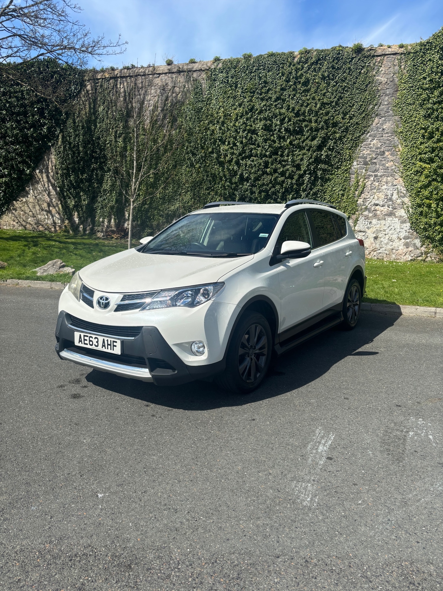 Used Toyota RAV4 2013 for sale - 78177176: Photo 3