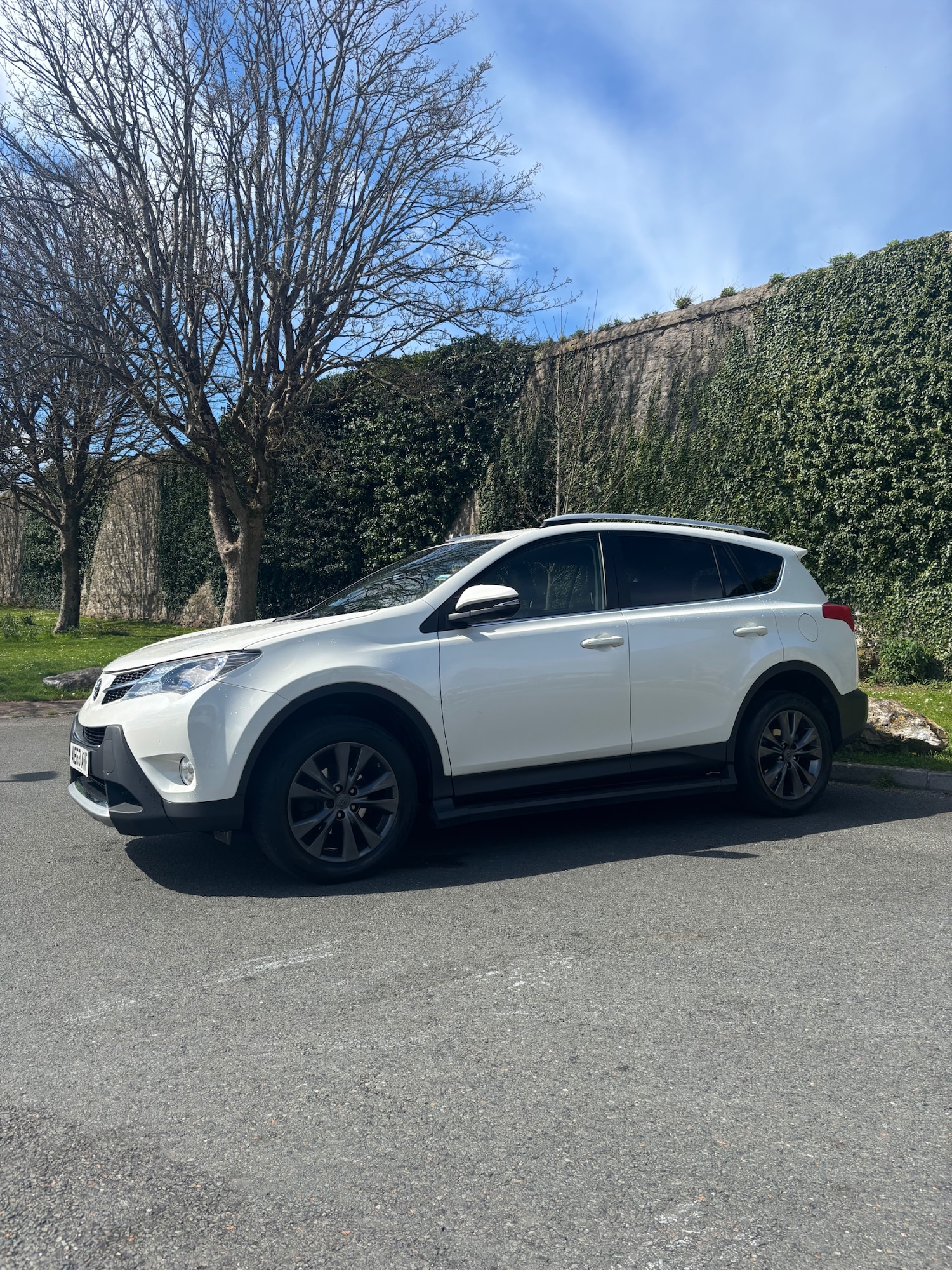 Used Toyota RAV4 2013 for sale - 78177176: Photo 6